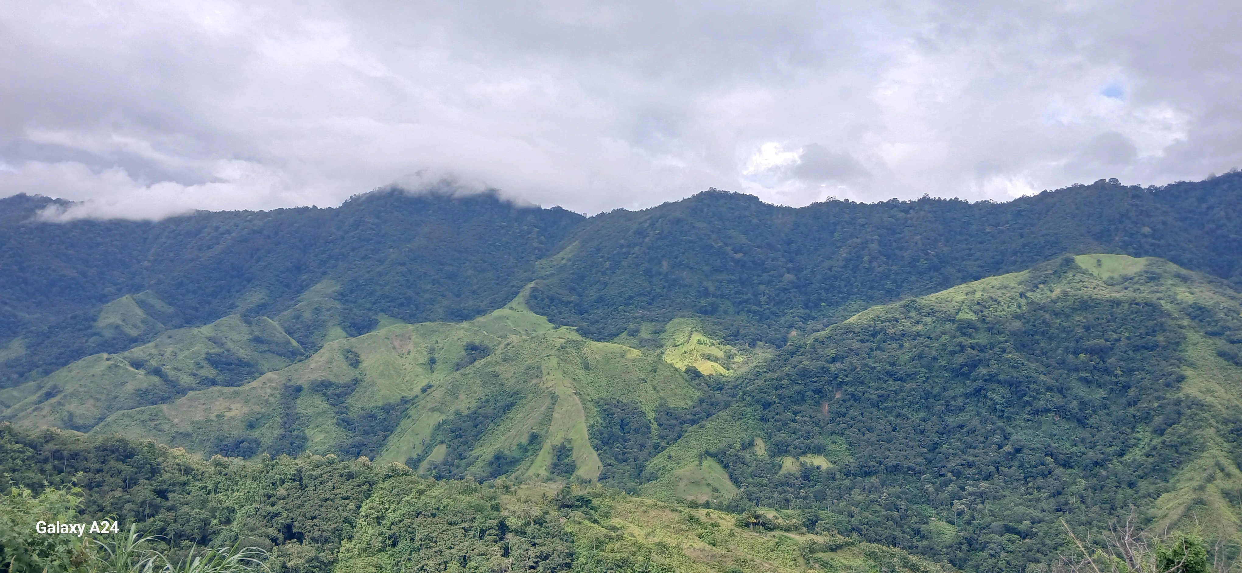 Pemandangan Gunung