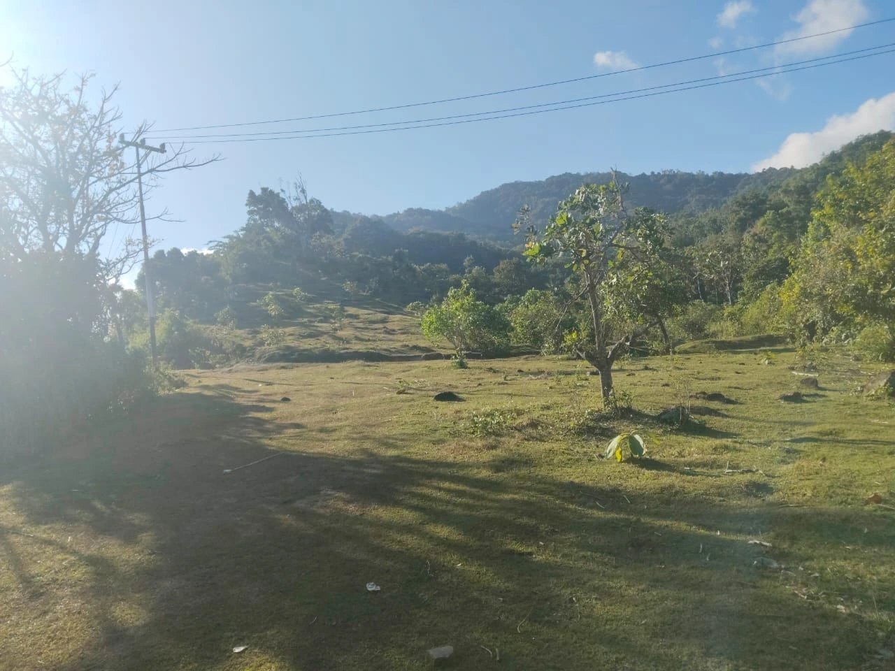 Alam 1