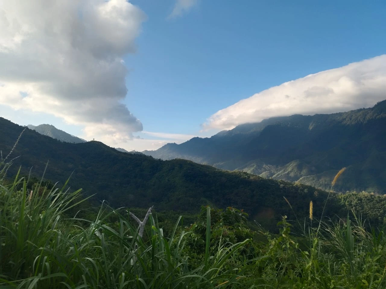 Alam 2