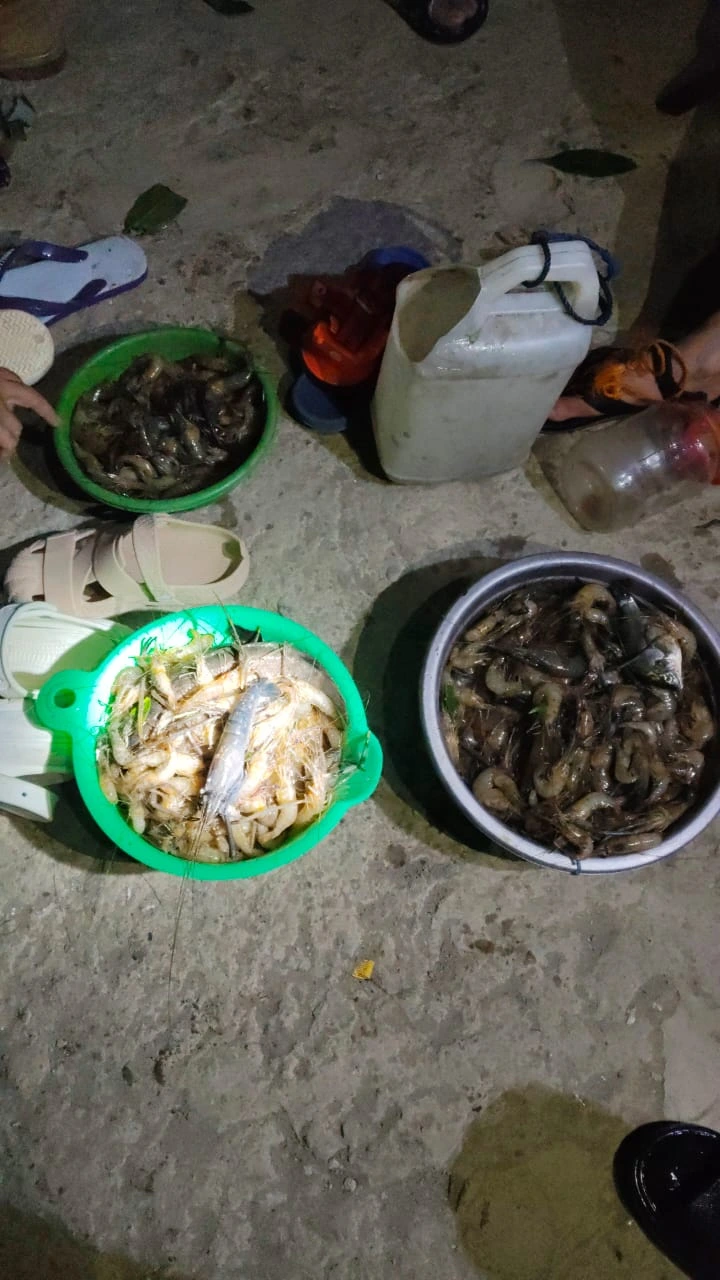 Udang Sungai